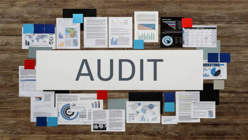 Law on Auditing and Accounting Professions